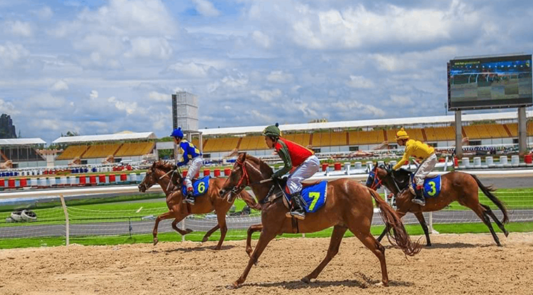 Khám Phá Chi Tiết Thế Giới Cá Cược Đua Ngựa Tại Crown88 2 Khám Phá Chi Tiết Thế Giới Cá Cược Đua Ngựa Tại Crown88