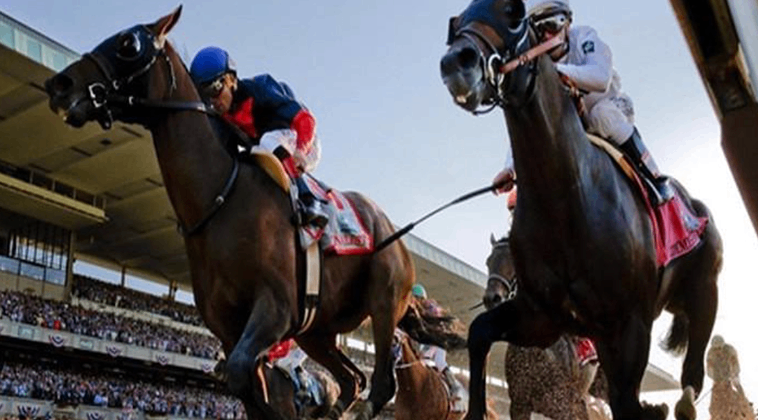 Khám Phá Chi Tiết Thế Giới Cá Cược Đua Ngựa Tại Crown88 4 Khám Phá Chi Tiết Thế Giới Cá Cược Đua Ngựa Tại Crown88